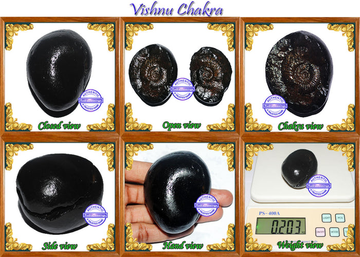 Vishnu Chakra - 11