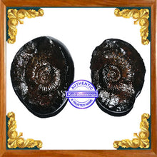 Load image into Gallery viewer, Vishnu Chakra - 11
