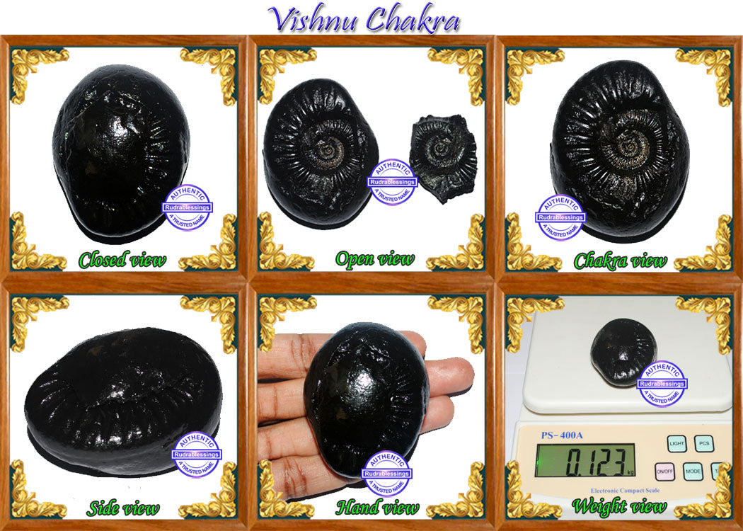 Vishnu Chakra - 12 – Rudra and Sons