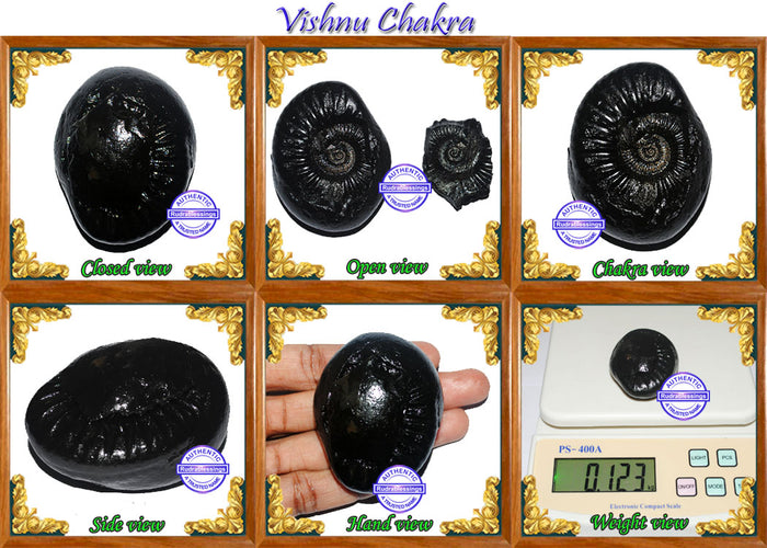 Vishnu Chakra - 12
