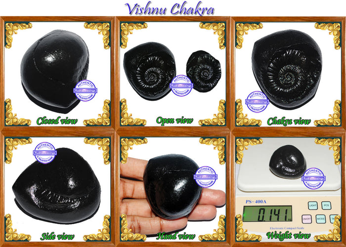 Vishnu Chakra - 13