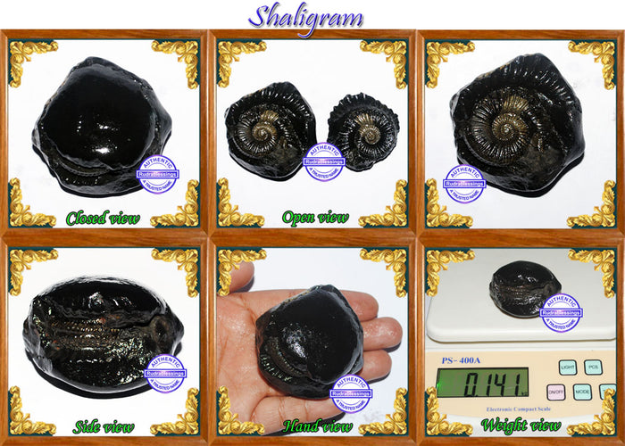 Shaligram - 16