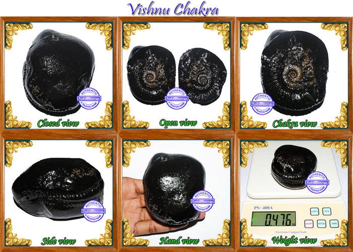 Vishnu Chakra - 18