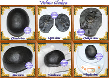 Load image into Gallery viewer, Vishnu Chakra - 4
