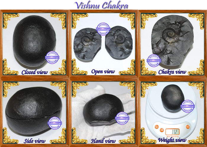 Vishnu Chakra - 4