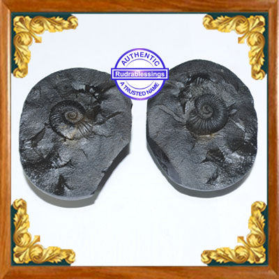 Vishnu Chakra - 4
