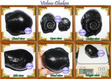 Load image into Gallery viewer, Vishnu Chakra - 6
