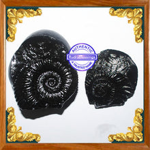 Load image into Gallery viewer, Vishnu Chakra - 6
