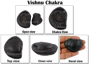 Vishnu Chakra - 28