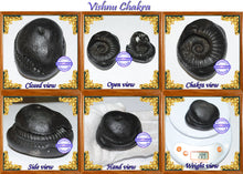 Load image into Gallery viewer, Vishnu Chakra - 3
