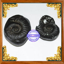 Load image into Gallery viewer, Vishnu Chakra - 3
