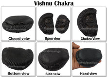 Load image into Gallery viewer, Vishnu Chakra - 20
