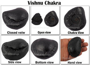 Vishnu Chakra - 21