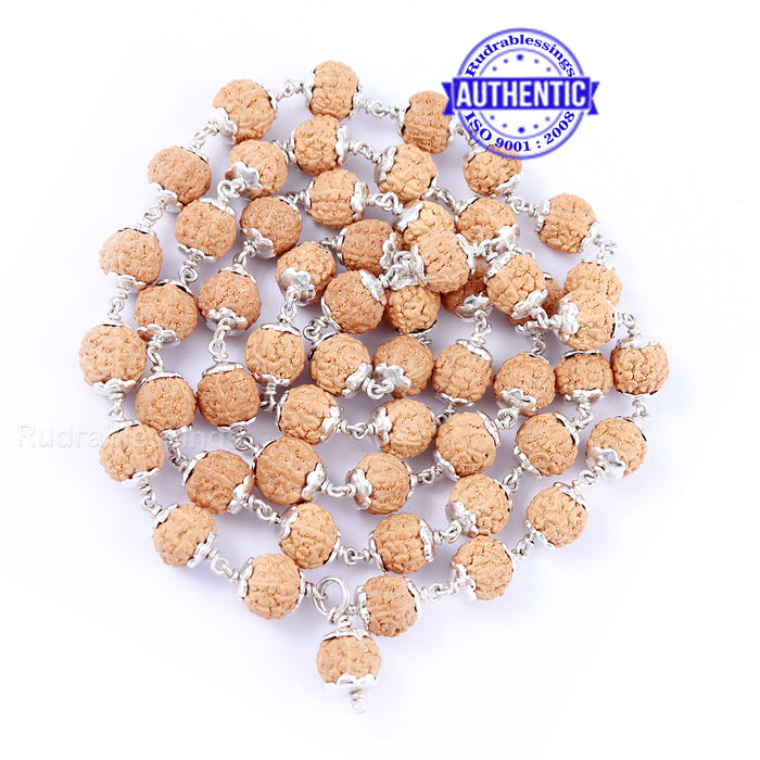 5 Mukhi Rudraksha Mala - 54+1 (Pure Silver)